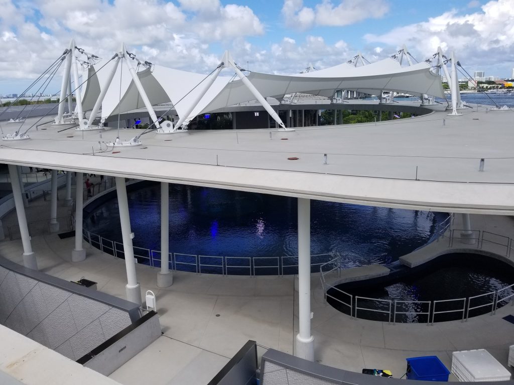 miami-2548919_1920